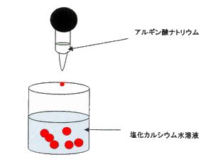 観て さわって 体験コーナーパート２