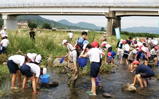 保全生態学研究室では、子どもが親しめる川づくりについての研究を行っています。