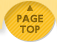 PAGE TOP