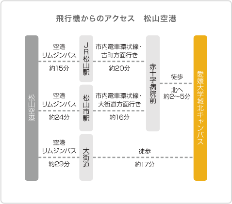 ⾶⾏機からのアクセス　松⼭空港